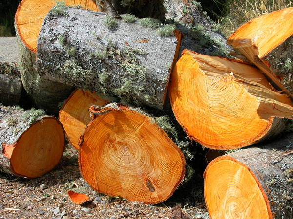 firewood from Laughing Apple Farm