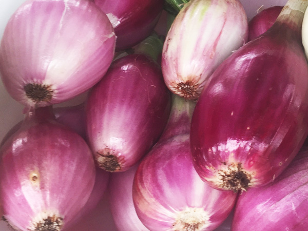 Laughing Apple Farm 2018 CSA includes a wide range of fresh produce and a la carte options