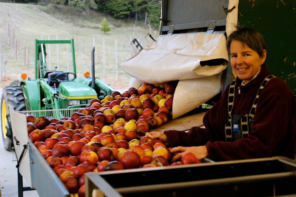 Laughing Apple Farm